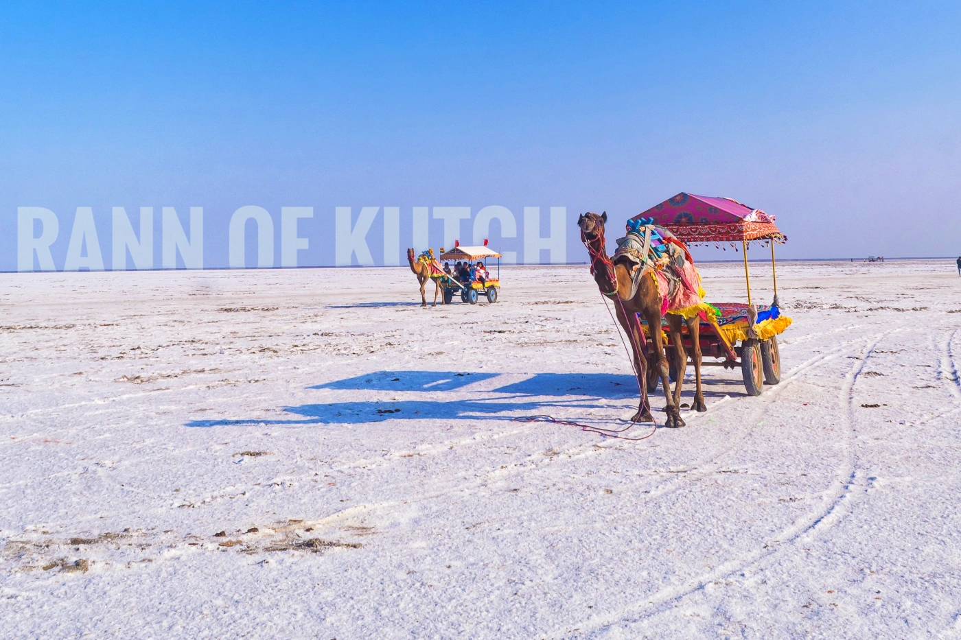 Katch Ran Gujarat Rann Of Kutch Tour Packages